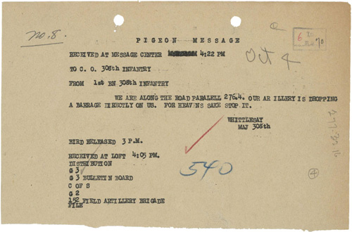 ww1-pigeon-message