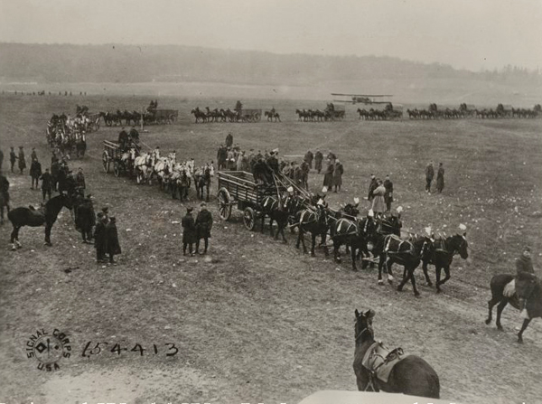 horse show ww1mus