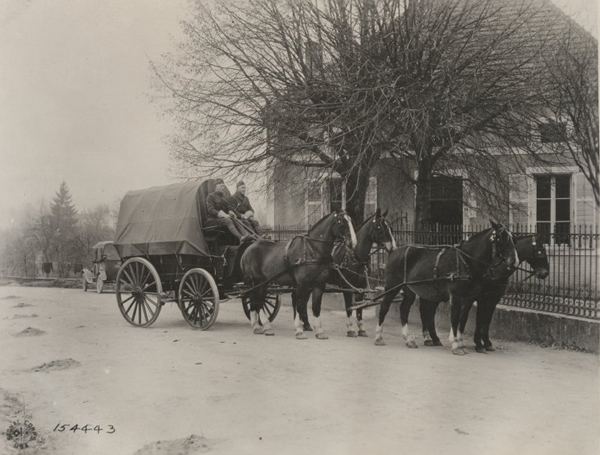 show winners ww1mus