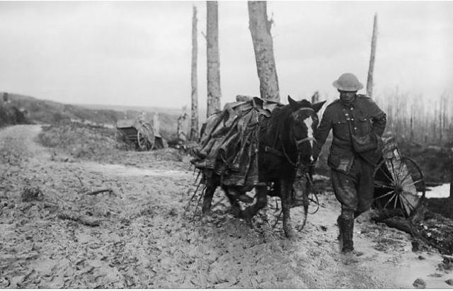 Brit horse led through mud carrying dead men