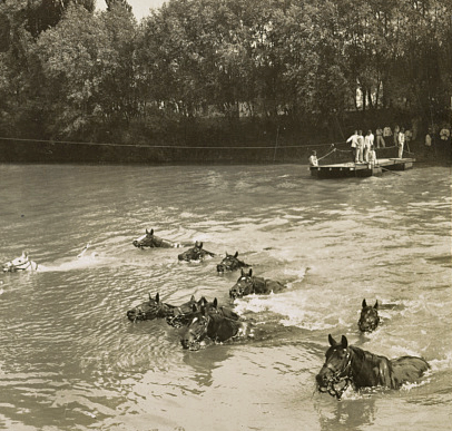 French cavalry horses swimming stream