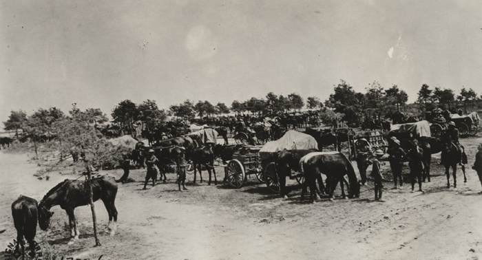 US ammunition train france 1918 ww1mus