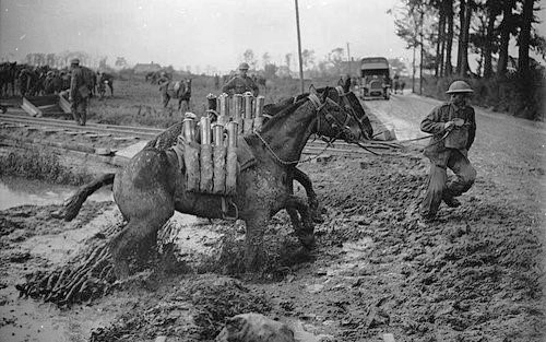 US carrying shells
