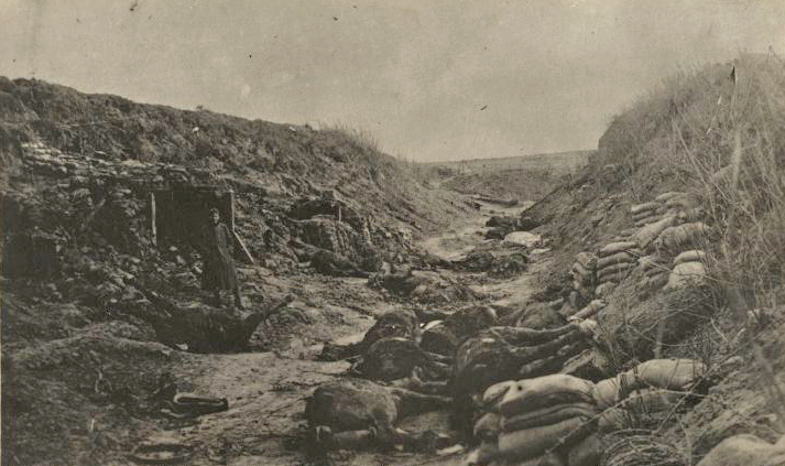 US dead horses in trench wwimus