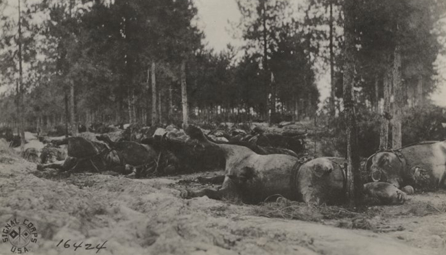 US picket line July 15 1918 100 percent casualties wwimus