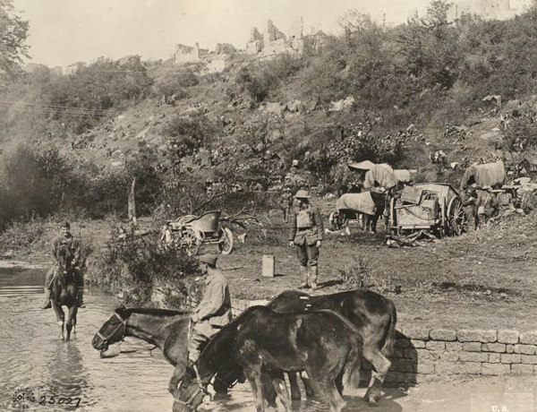 US watering horses2 ww1mus