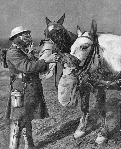 BRIT driver and team with gas masks