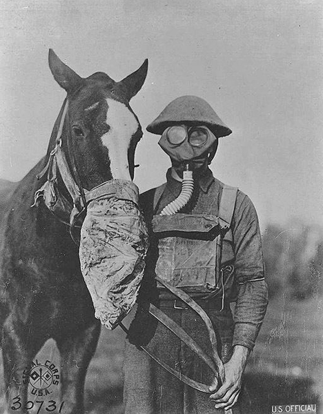 US gas mask