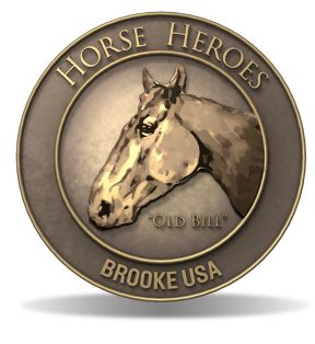 Horse Heroes medal shadow