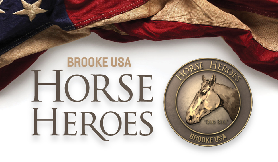 Horse heroes banner