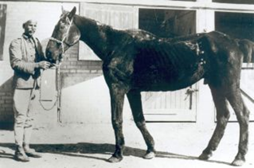 Old Bill