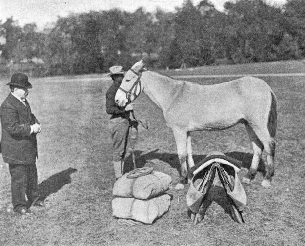 Fig 6 Henry Daly instructing packing