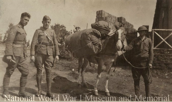 infantry pack horse wwimus
