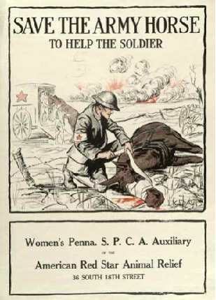 PA Womens SPCA Red Star poster