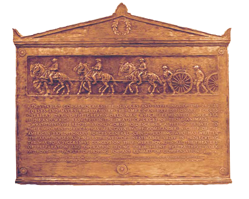 Red Star plaque extracted