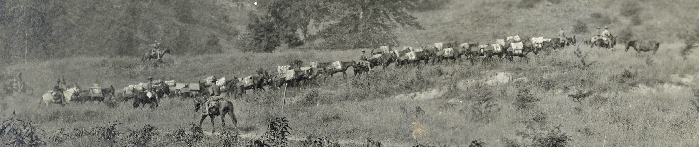 49 mule train Camp Dynes KY long