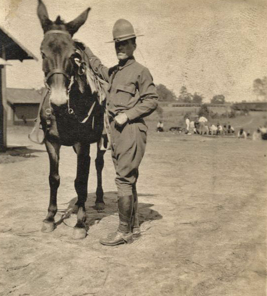 CO Remount Depot 312 Montgomery Alabama wwimus
