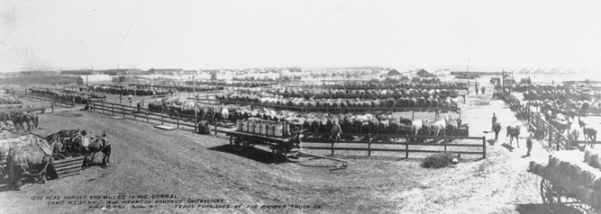 Camp Kearney CA 1917