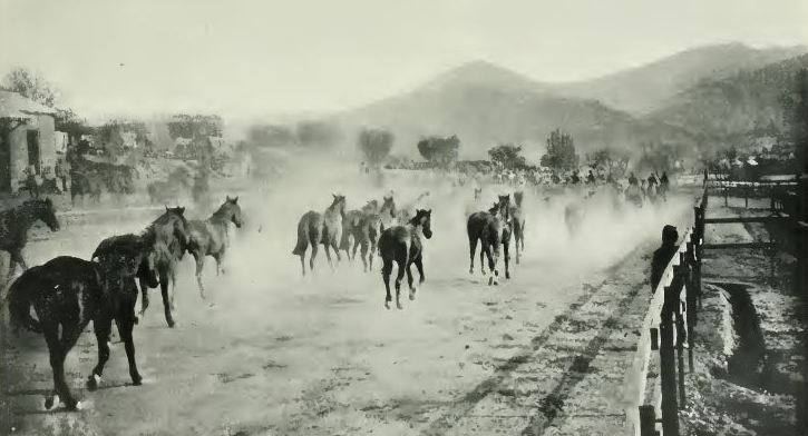 Remount station in France Galtrey p 63 