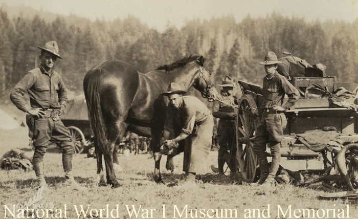 horseshoeing ww1mus