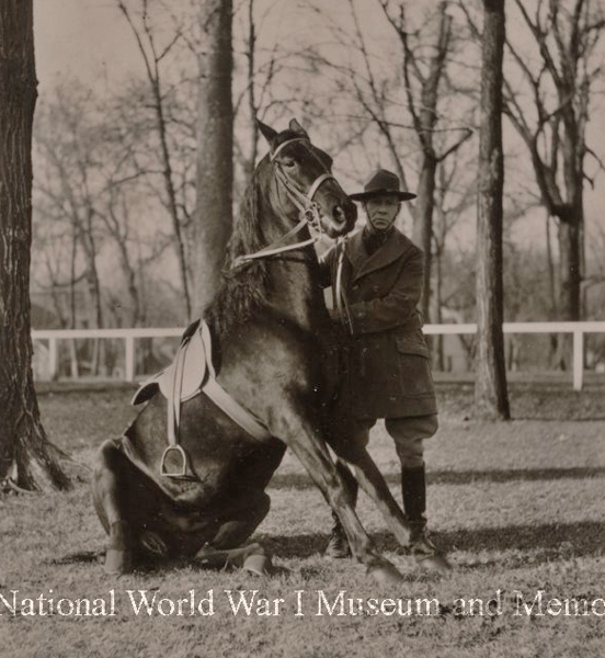 training horse to sit Missouri wwimus