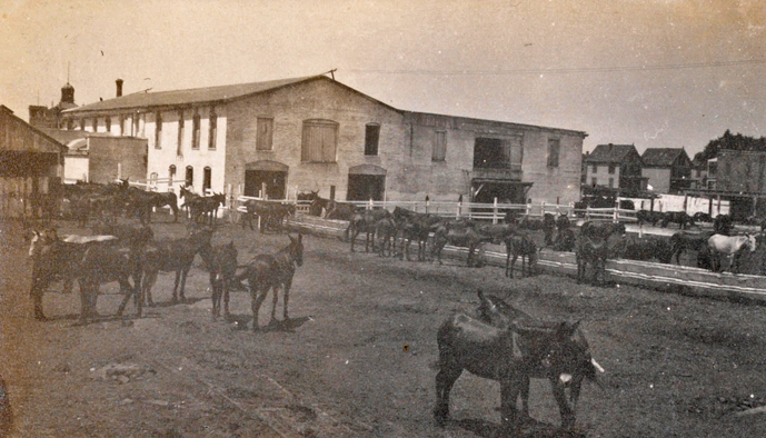 NN rear view of vet hospital