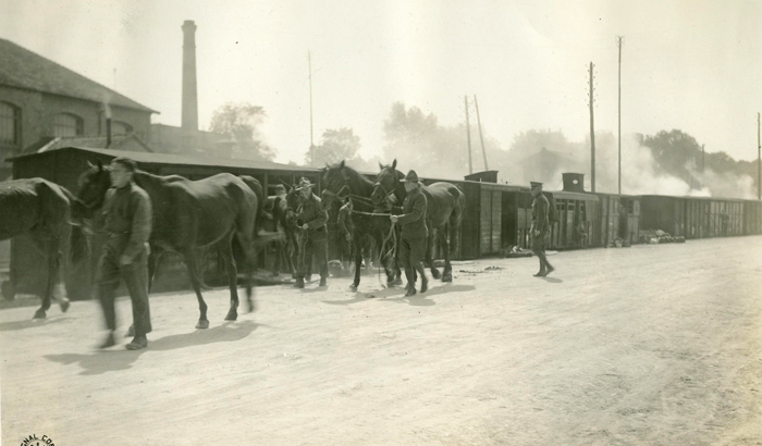 US horses and rail cars Bordeaux qmmus