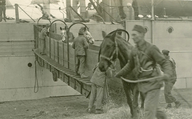US horses unloading from ship in France qmmus