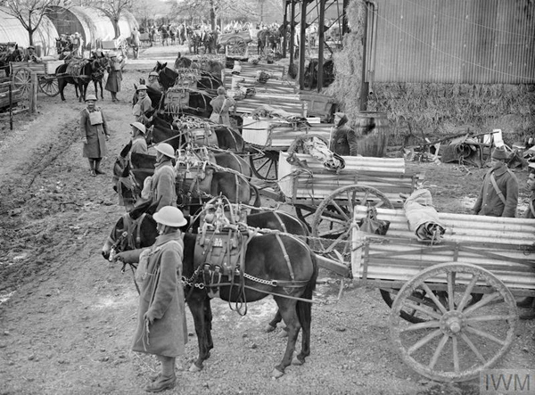 BRIT mules with wagons next to forage shed for web