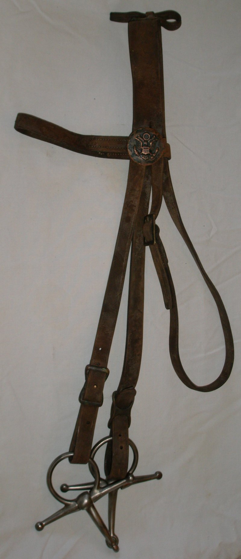 118 Bridle8