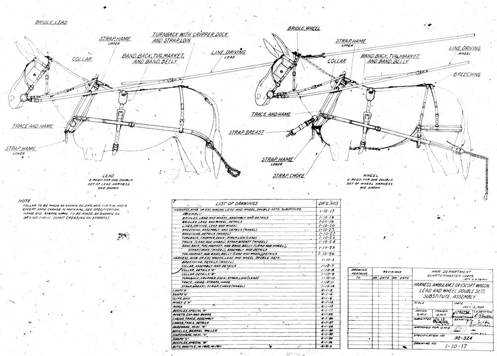 US E 1 10 17mules pic 2