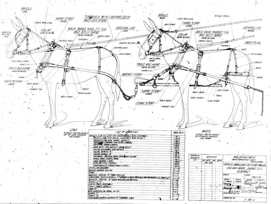 lovett Army escort wagon mule team harness