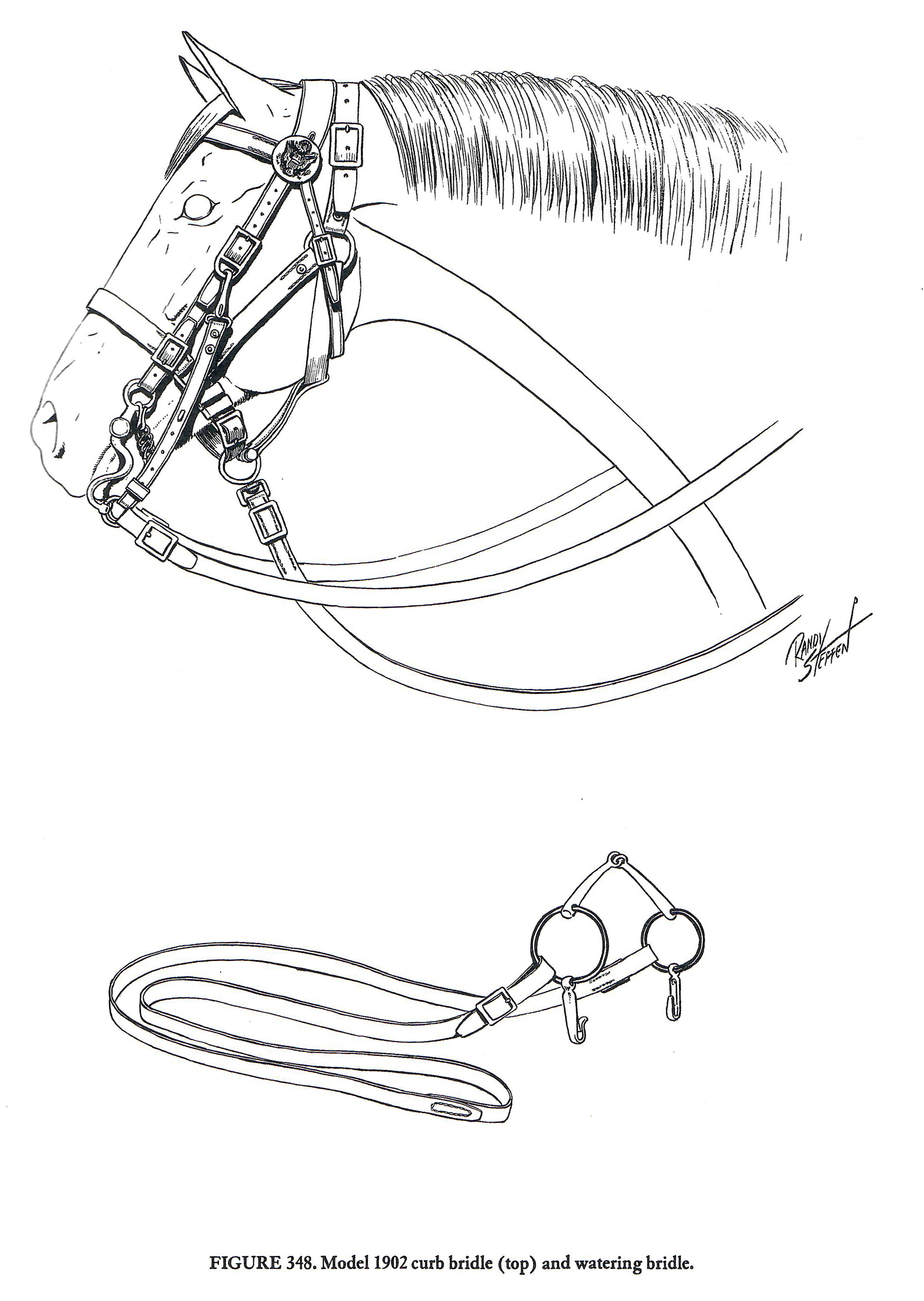 tack 1902 bridles