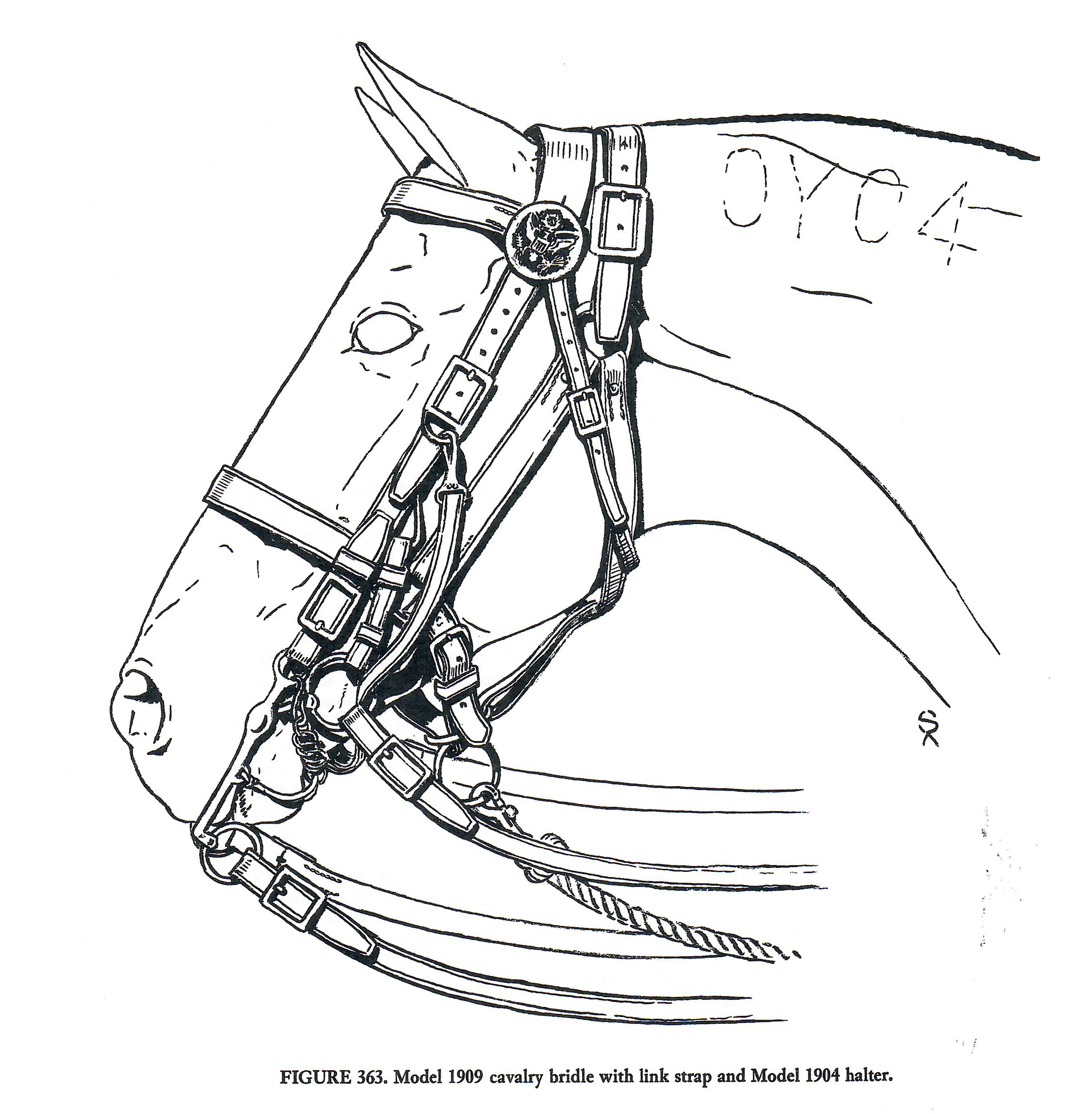 tack cavalry brield and halter