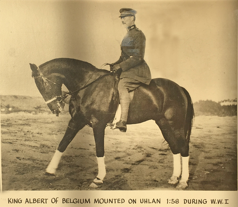 Kiing Albert on Uhlan for web