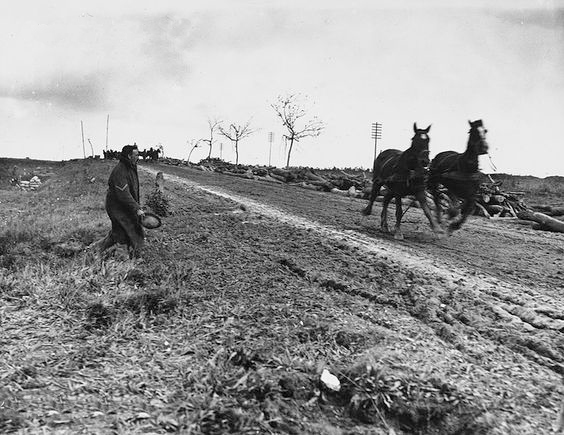 British transport horses bolting La Boisselle 1916