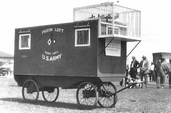 US pigeon loft