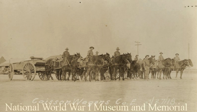 caisson wagons with two horse teams