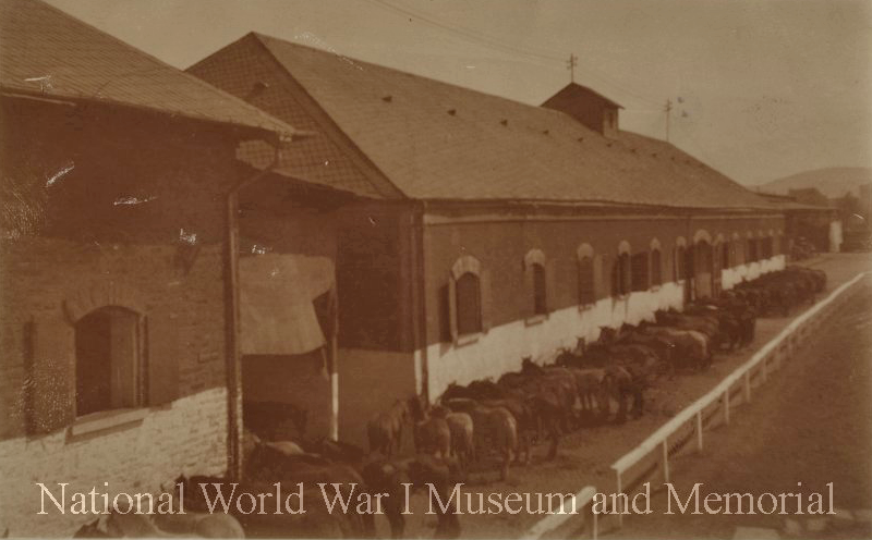 3rd Army vet hospital in Germany wwimus