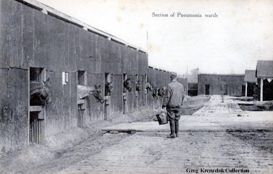 GK The Pneumonia Wards at Veterinary Hospital No 9 France