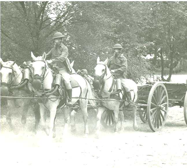 GK US Caisson drawn by horses wearing masks