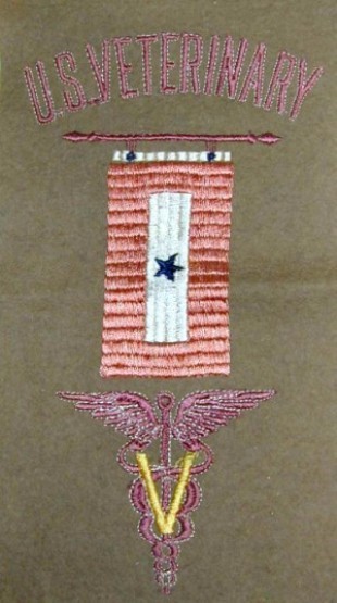 GK Vet son in the service flag