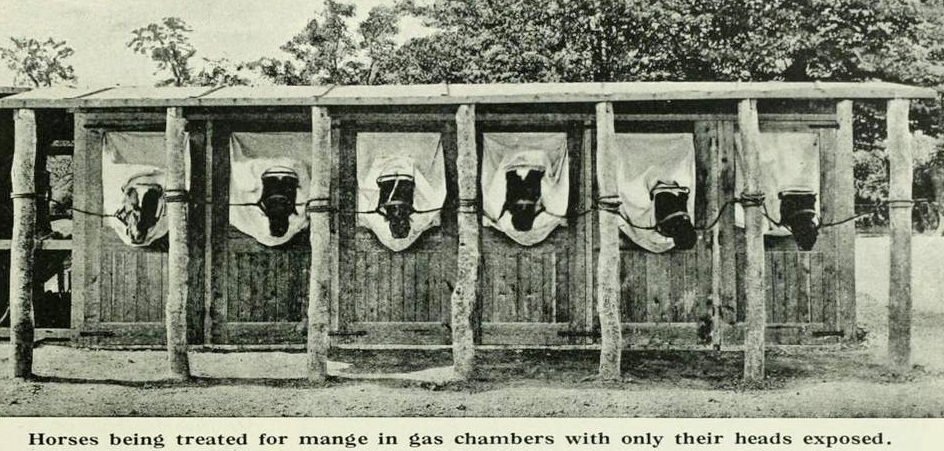 fumigation for mange Galtrey book