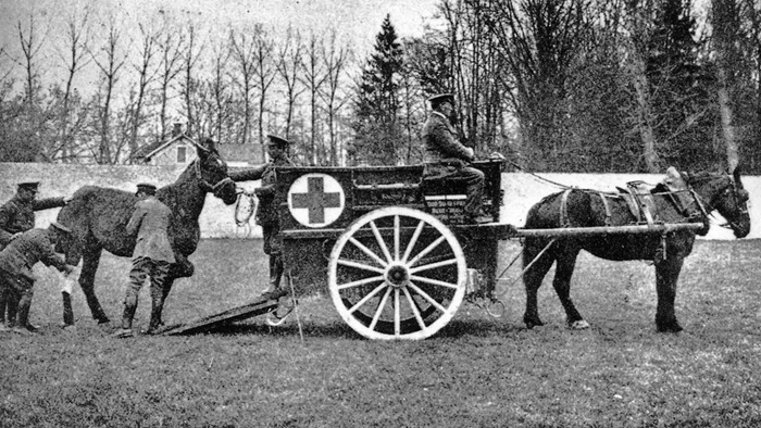 horse ambulance with horse being loaded