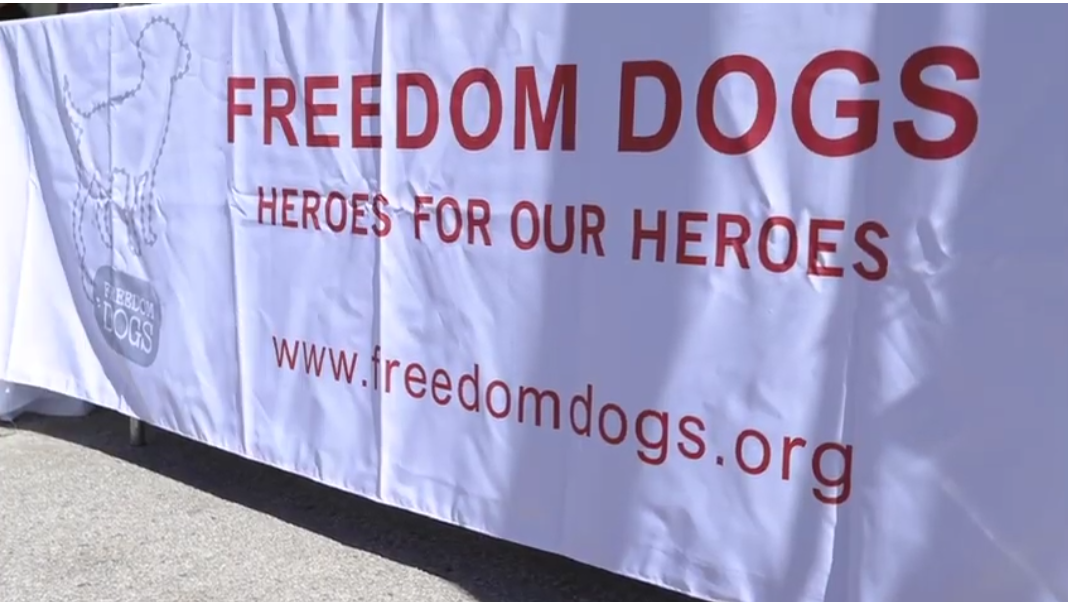 awog 2018 freedom dogs vet support