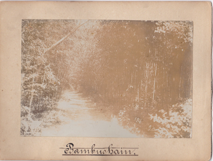 Facknitzphoto7