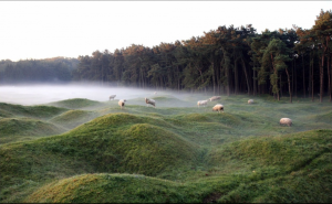 FlynnFoleyVimy 300x185