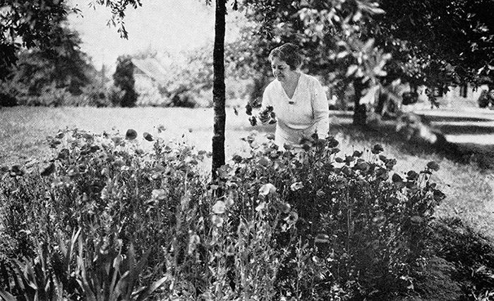 Moina Michael gardening in her poppies
