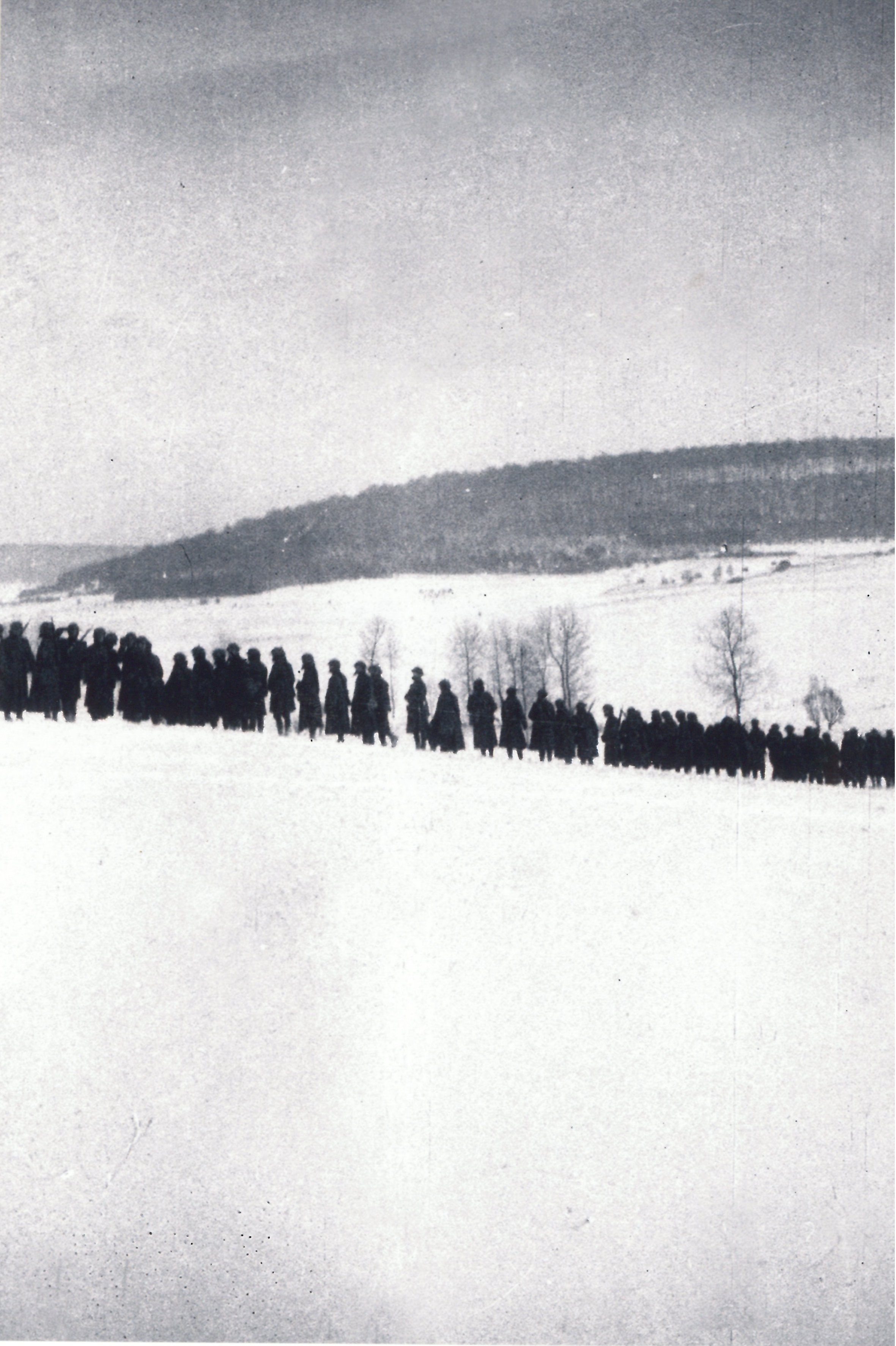 Troops of the 103rd Infantry assembled in line at the Neufchateau Training Area, France, 1917