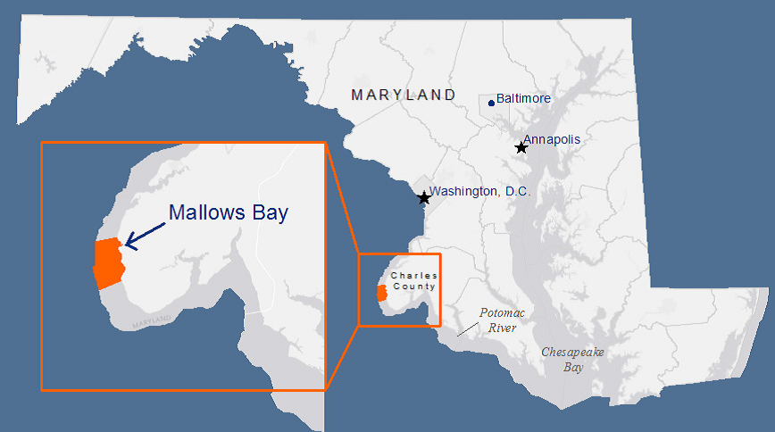 Mallows